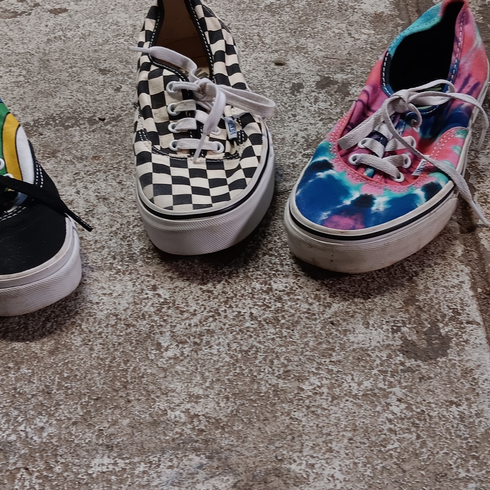 Vans Multicolor Canvas Sneakers